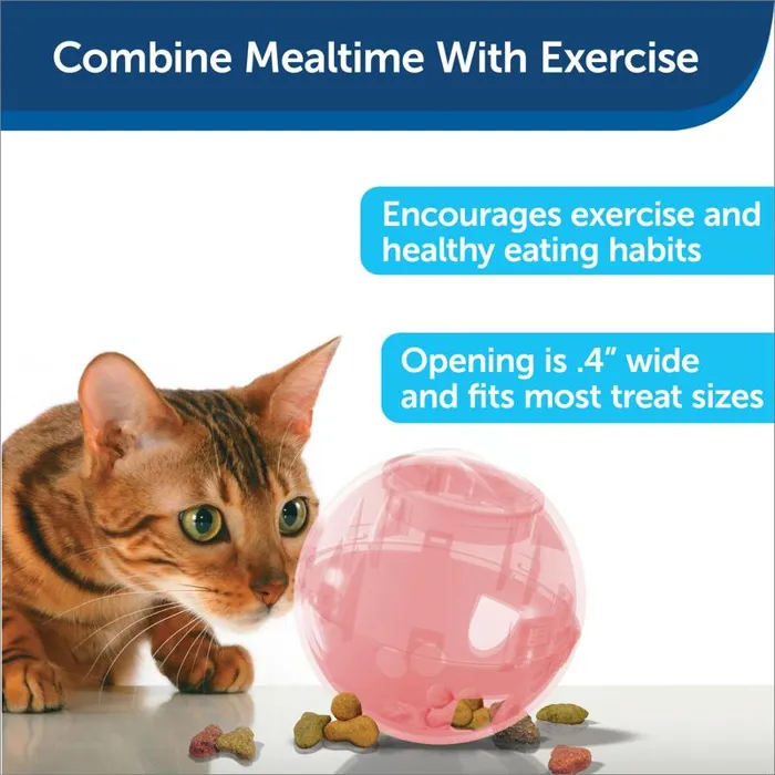 PetSafe SlimCat feeder ball pink exercise feature graphic