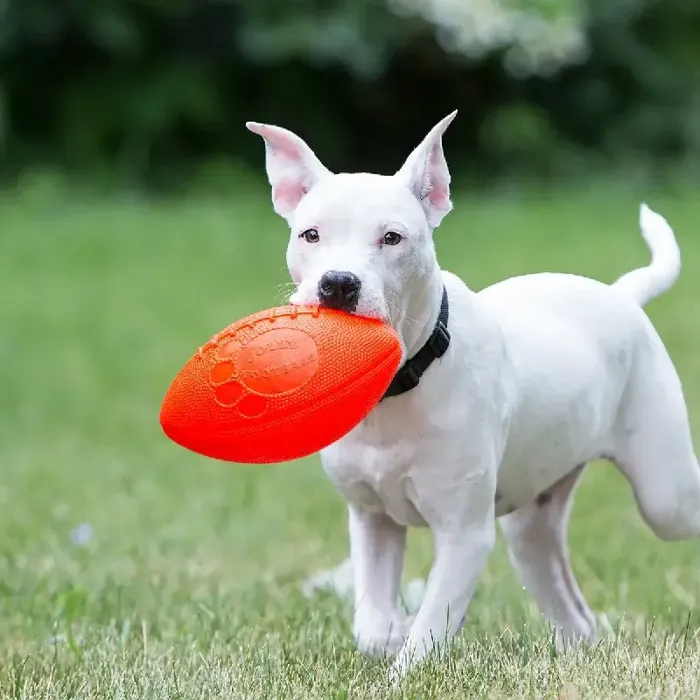 Jolly Pets Football 8" Green