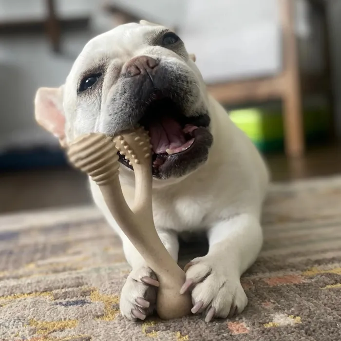 Better Bone Tough Small Beef