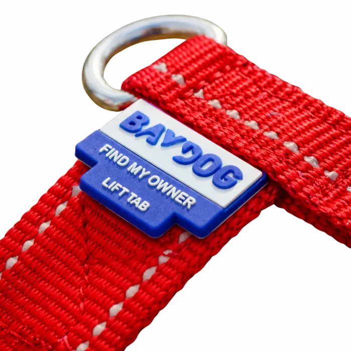 Bay Dog Chesapeake Harness Clifford Red owner tag close-up