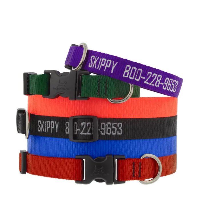 Lupine Basic Solids red collar in color assortment