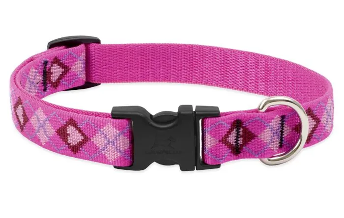 Lupine Puppy Love Adjustable Collar 8-12"
