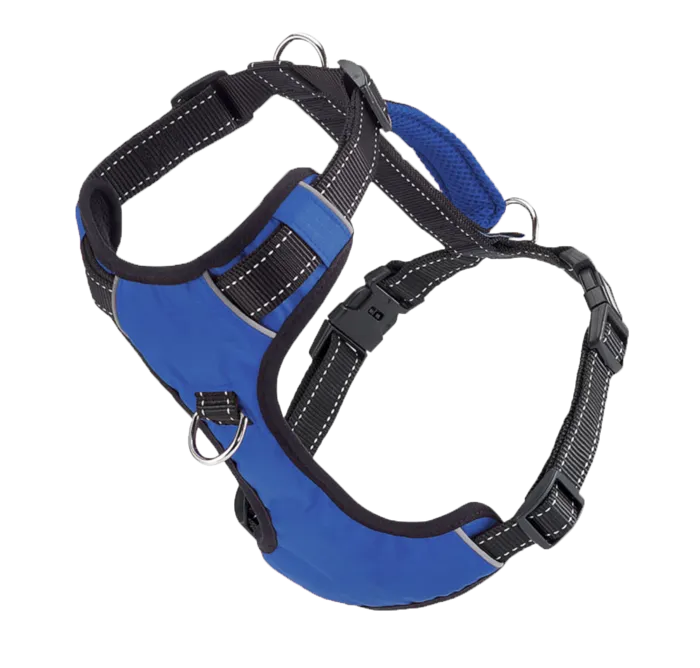 Baydog Harness Medium Blue