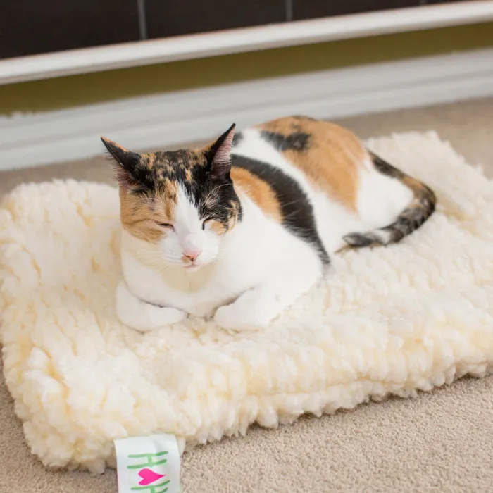 HuggleHounds HuggleFleece Natural Medium Mat with cat