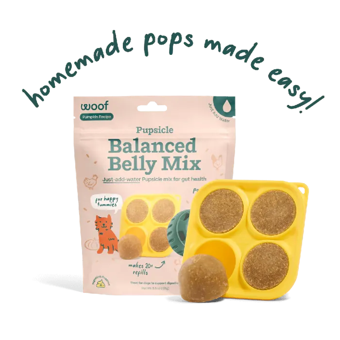 Woof Dog Treat Pupscicle Treat Mix Balanced Belly 5.5-oz