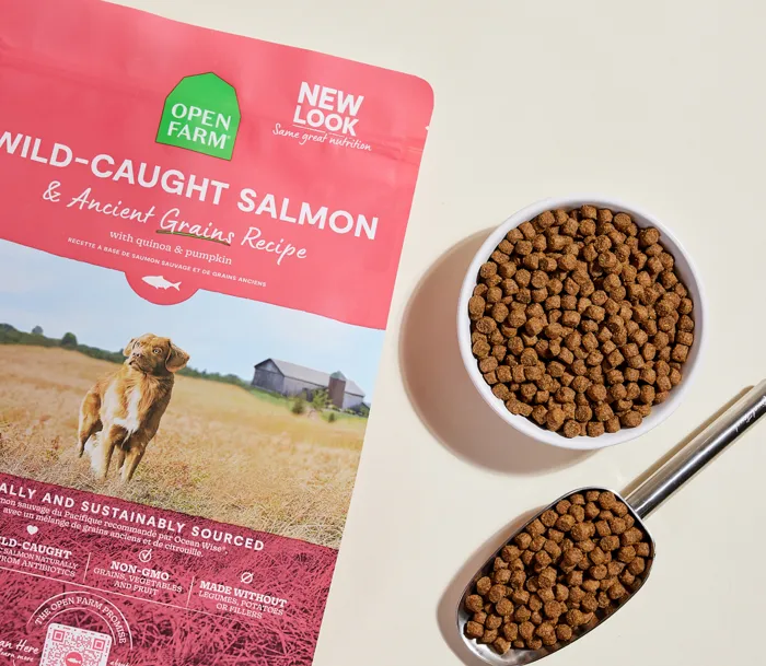 Open Farm Wild-Caught Salmon Ancient Grains bag with bowl