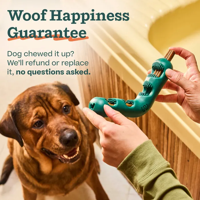 Woof Bite n’ Brush Large toy demonstration lifestyle