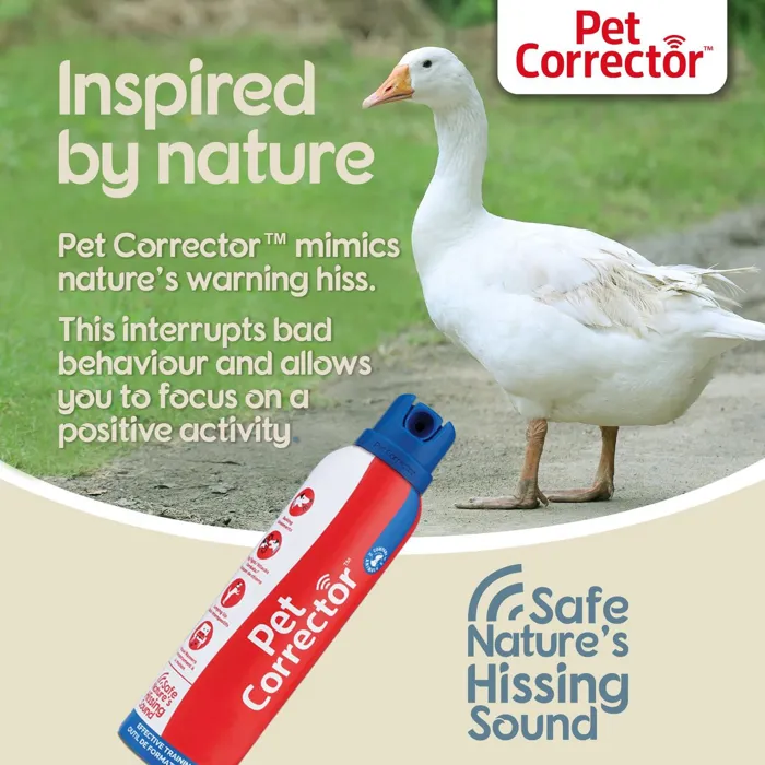 Company of Animals Pet Corrector 30ml nature graphic
