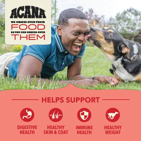 Acana Wholesome Grains Red Meat & Grains Dry Dog Food 4-lb