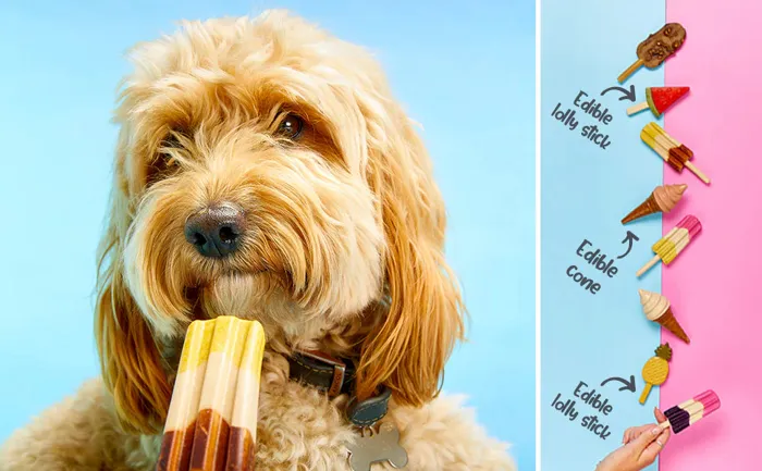 Pup Ice Rocket Lollies Banana/chocolat 2-pk