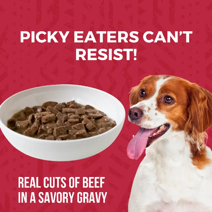 Koha Grain Free Beef Stew Can 12.7-oz