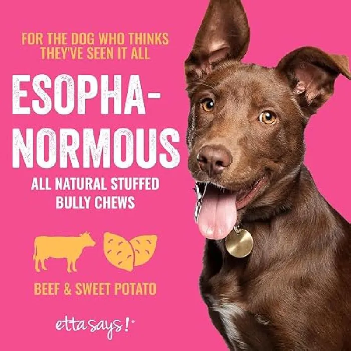 Etta Says Bully Stuffed Eso Chew 10"