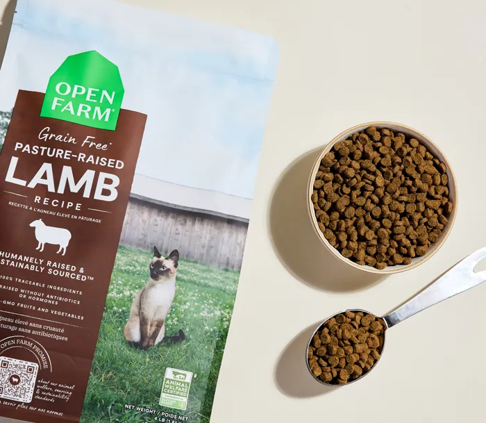Open Farm Pasture-Raised Lamb Grain-Free Cat Kibble bowl and bag
