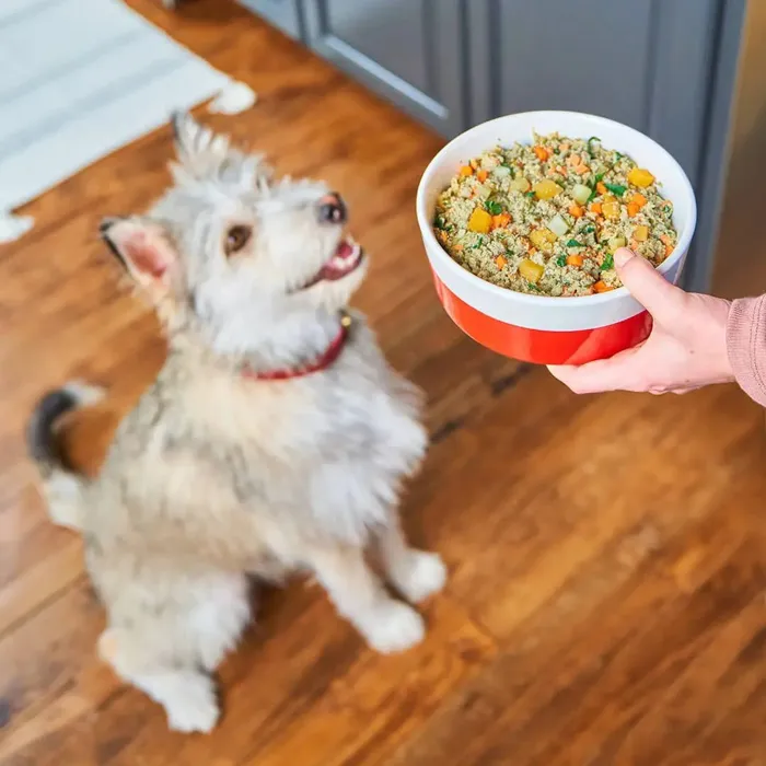Stella & Chewy's Fresh Made Chick-a-lickin 16-oz