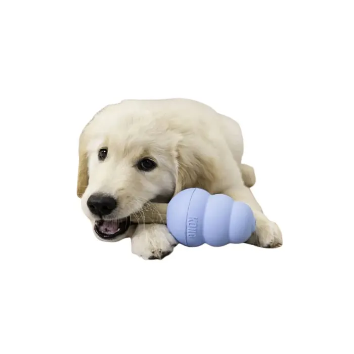 KONG Puppy Small blue toy with puppy