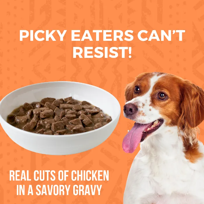 Koha Dog Grain Free Chicken Stew 12.7-oz