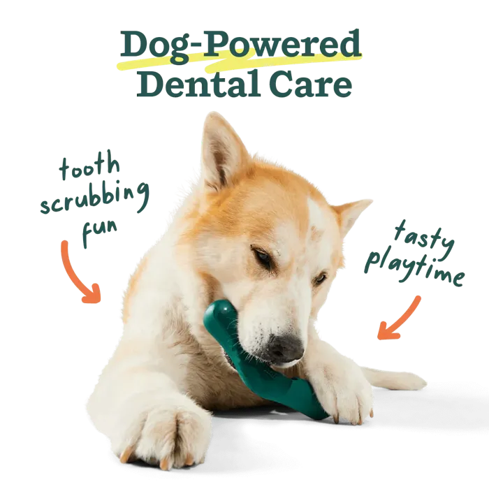 Woof Bite n' Brush Small white dog lifestyle