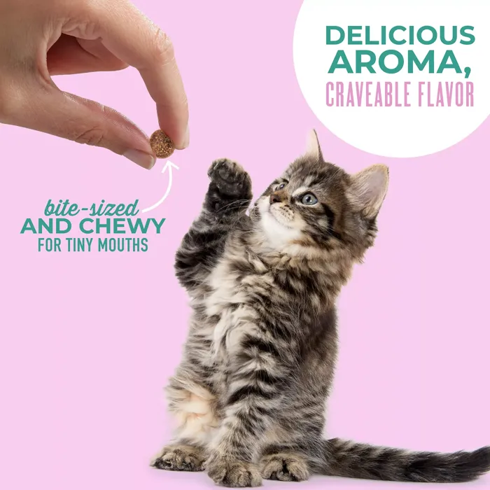 Tiki Cat Baby Soft & Chewy Tuna Salmon kitten treat