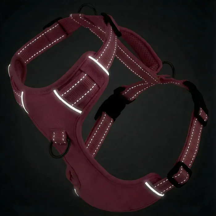 Bay Dog Chesapeake Harness Sunset Pink Medium reflective view