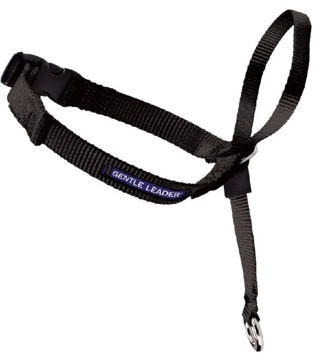 Gentle Leader Headcollar, No-pull Dog Collar Large Black