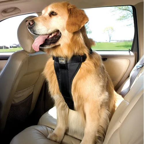Kurgo Harness Trufit Xlg 80lb+