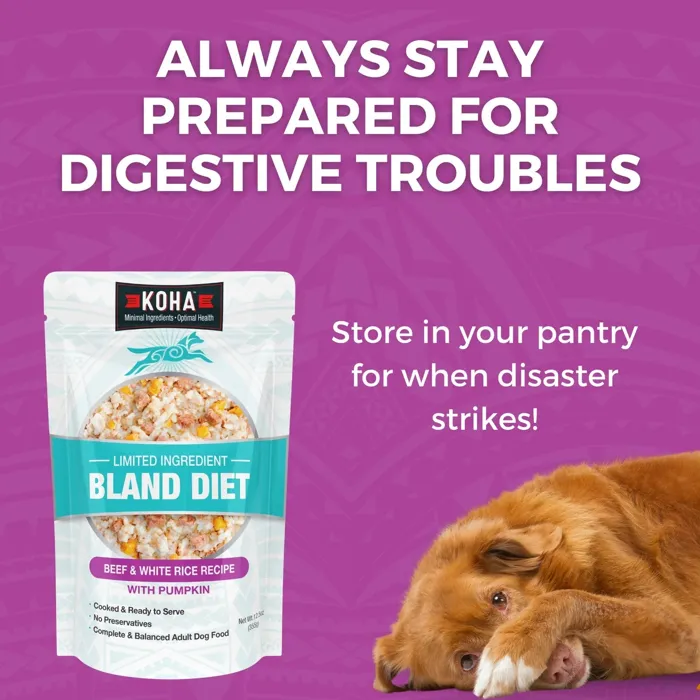 Koha Bland Diet Bf & White Rice With Ppkn 12.5-oz