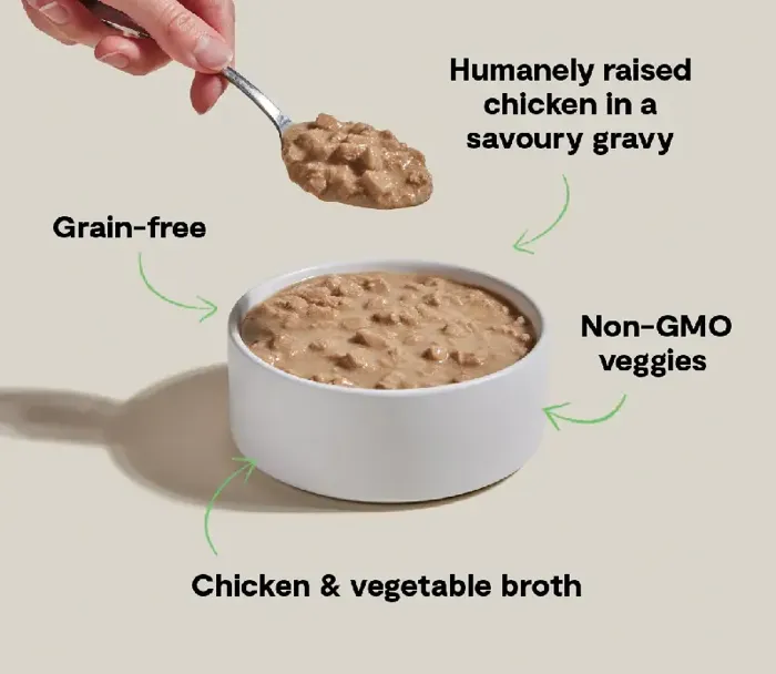 Open Farm Cat Can Gf Morsel Chicken 5.3 Oz 12/case