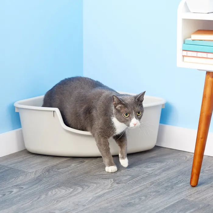 SmartCat Corner Litter Box gray lifestyle view