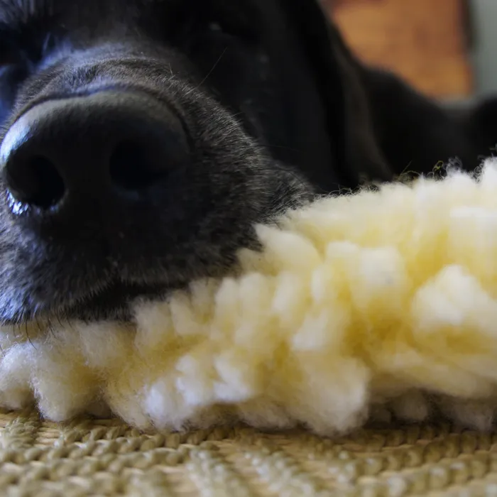 HuggleHounds HuggleFleece Natural Medium Mat fleece texture close-up