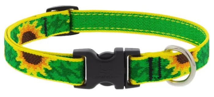 46434-1/2" Collar 8-12" Sunflower