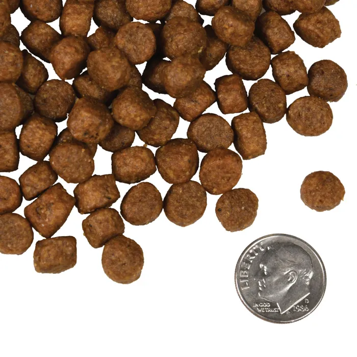 Fromm Salmon Tunalini dry dog food kibble close-up