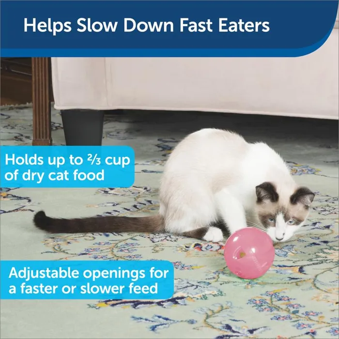 PetSafe SlimCat feeder ball pink lifestyle feature graphic