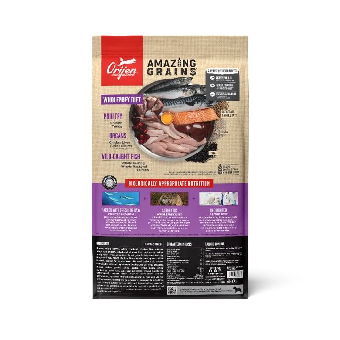 Champion Dog Orijen Amazing Grain Lb Puppy 22.5-lb