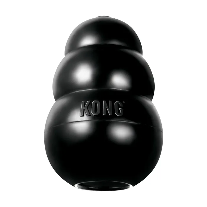 KONG Extreme Medium black dog toy front