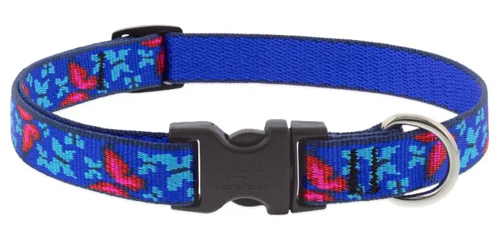 Social Butterfly 1/2 10-16 Adj Collar