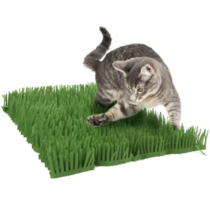Meadow Mayhem Hide/seek Lg 2ct