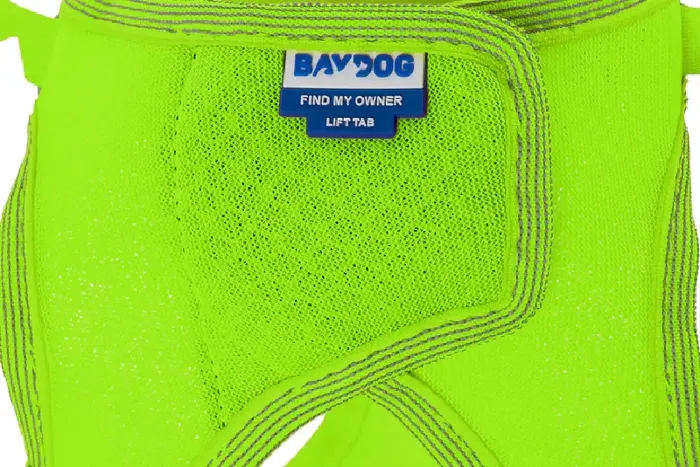 Baydog Liberty Bay Harness Key Lime Xlarge