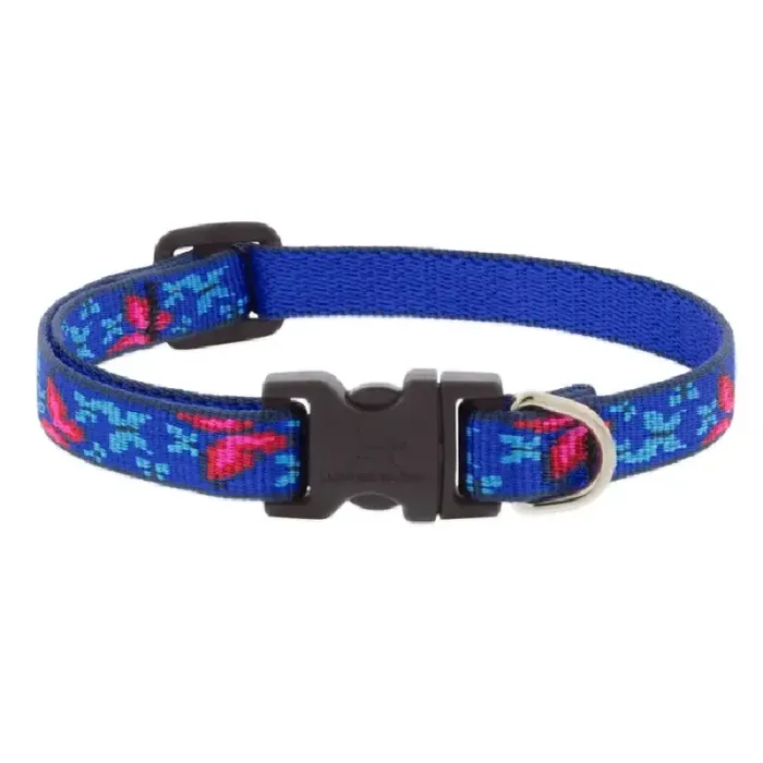 Social Butterfly 1/2 10-16 Adj Collar