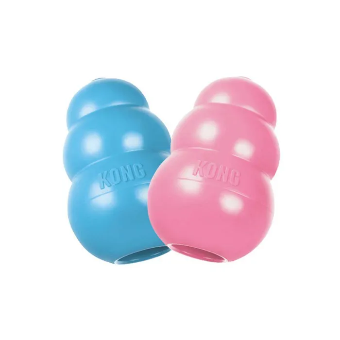 Kong Classic Puppy Medium Assorted
