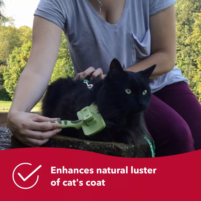 Safari cat slicker brush coat shine lifestyle