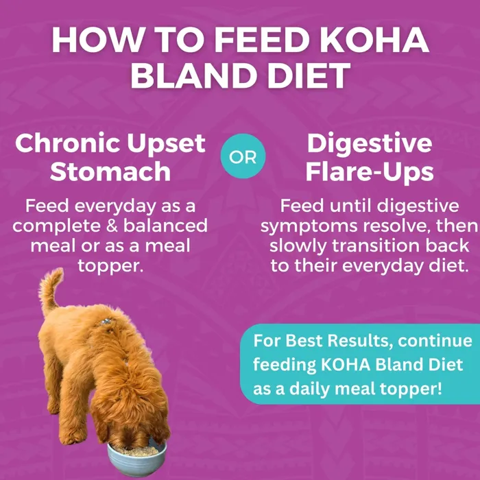 Koha Bland Diet Bf & White Rice With Ppkn 12.5-oz