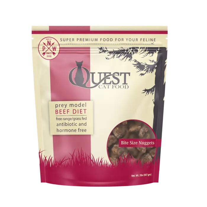Steve's Frozen Quest Cat Nuggets Beef 2-lb