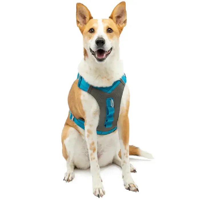 Journey Air Harness Coral Sm