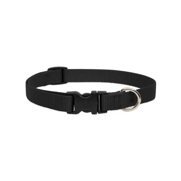 Lupine Basic Solids Collar black 3/4 x 13-22 inches front view