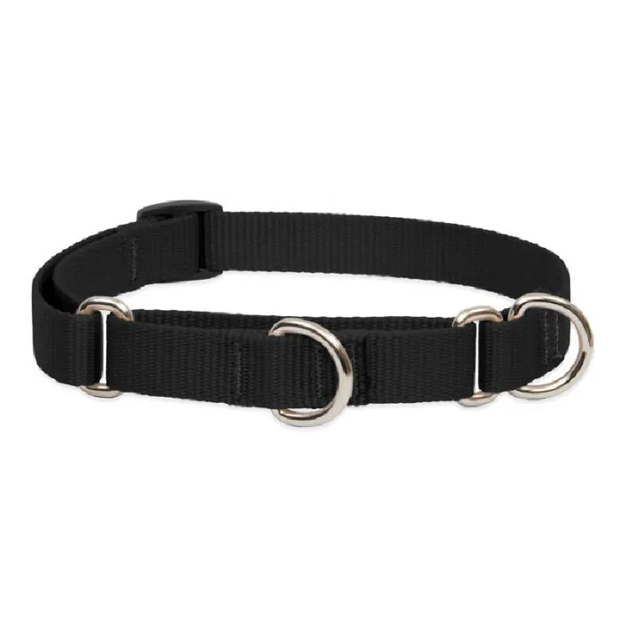 Lupine Martingale 10"-14" Black Basic Black 10"-14