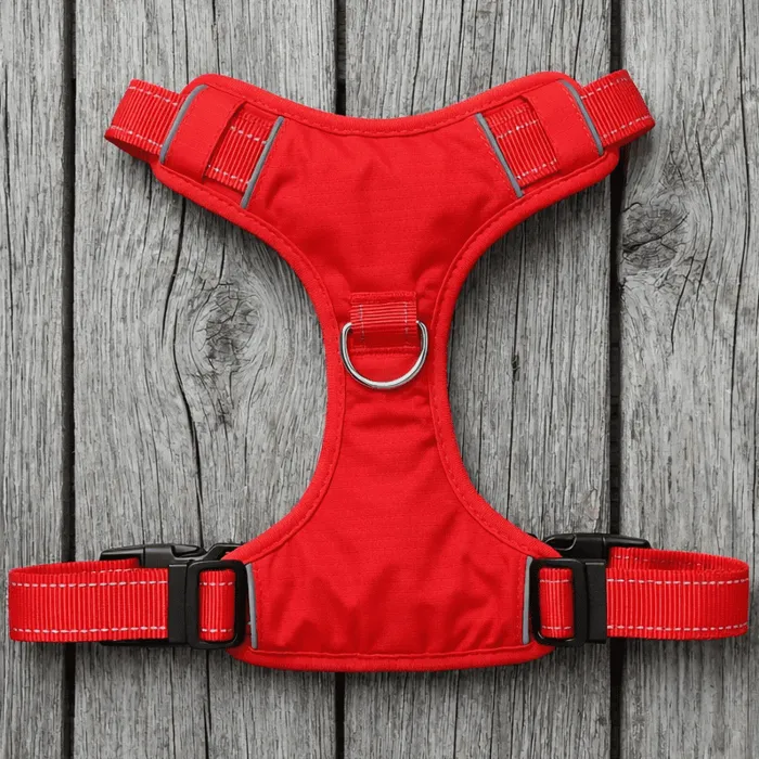 Bay Dog Chesapeake Harness Clifford Red Large front flat view