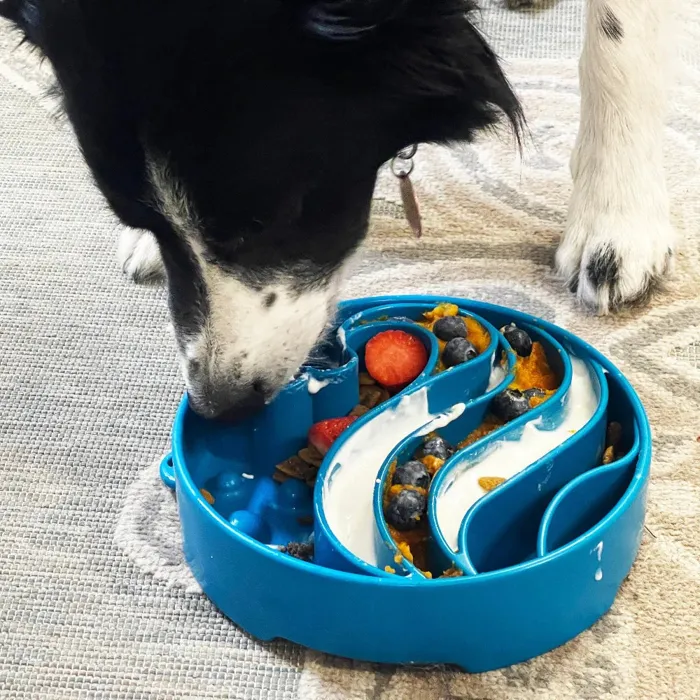 Sodapup Blue Wave Slow Feeder Bowl