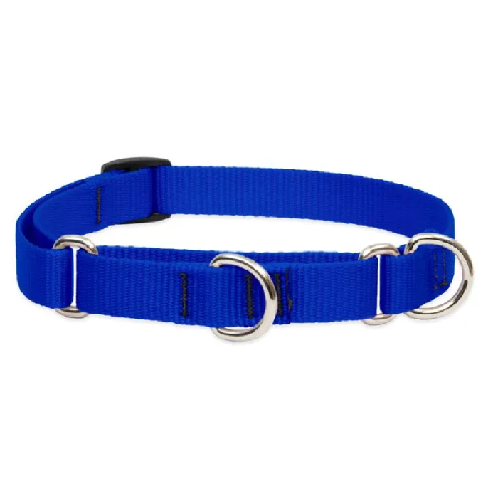 Lupine 3/4" Martingale Collar Blue 10"-14"