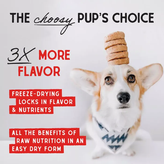 Stella & Chewy's Tantalizing Turkey freeze-dried patties