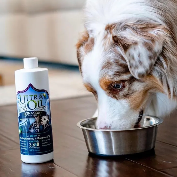 Ultra Oil Skin & Coat Supplement 16 oz feeding lifestyle